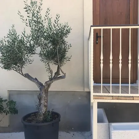 דירה Novem זאדאר